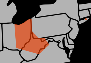 cicada map